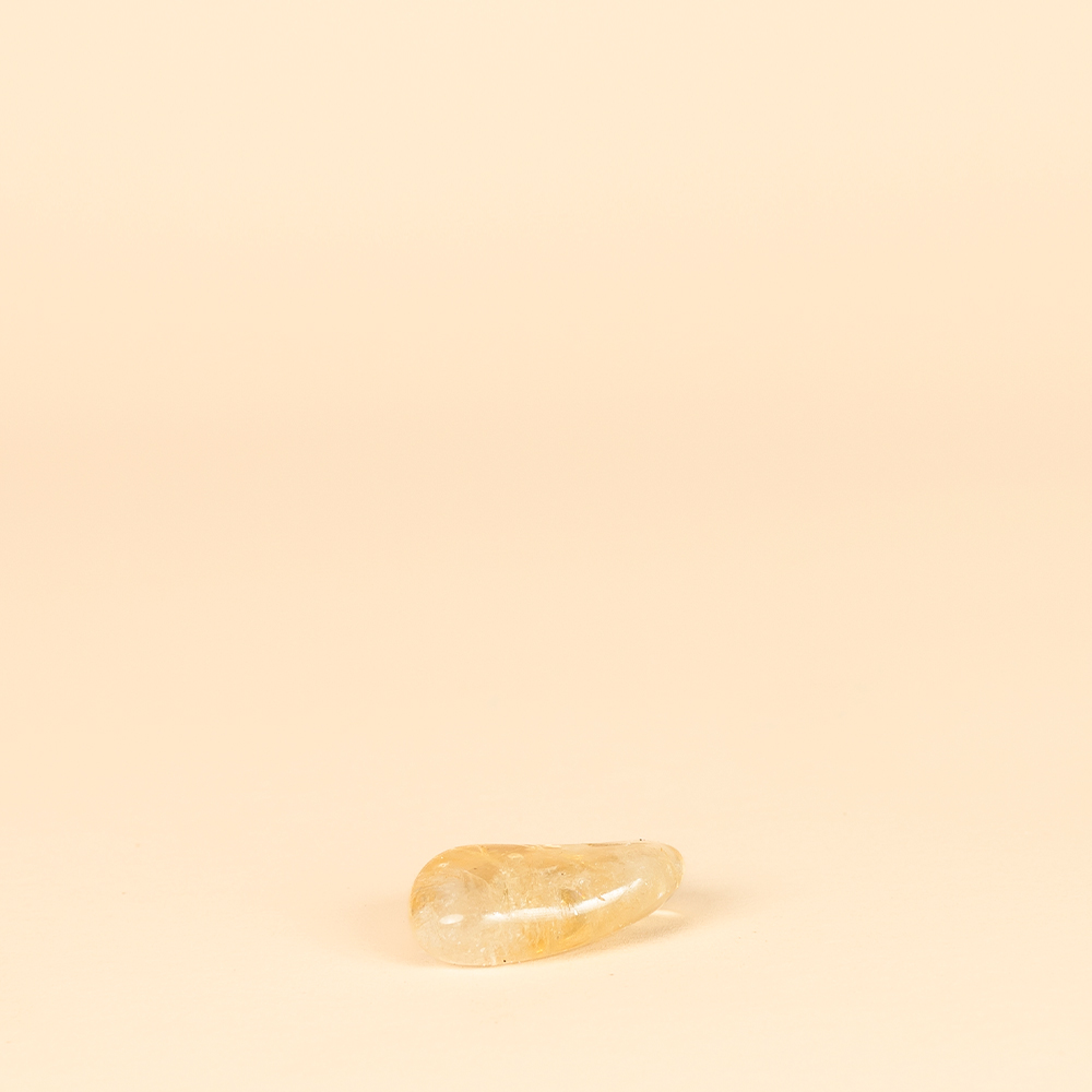 Pack "Serpiente de la Fortuna" - Imagen 7